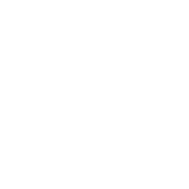 Voyage MIA Logo